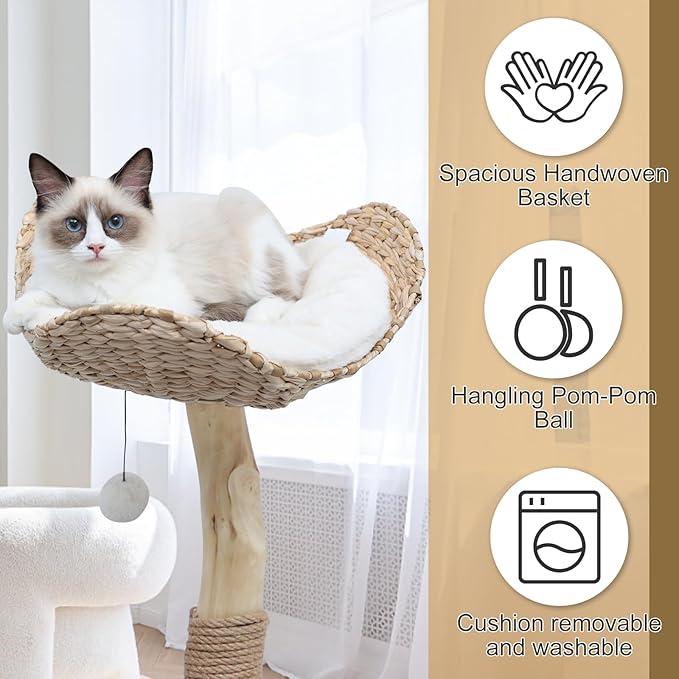 Cat Tree Tower for Indoor Cats, Modern Real Wood Cat Condo with Scratching Post, Jumping Platforms, Hanging Toy Ball for Multi-Cat Households