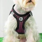 Step in Dog Harness Comfort Mesh Dog Vesr Harness Extra Small Pet Harness for Chihuahua Soft Padded Harness Lightweight Puppy Harness for Cat Doggie Outdoor Walking (Rose, Medium)