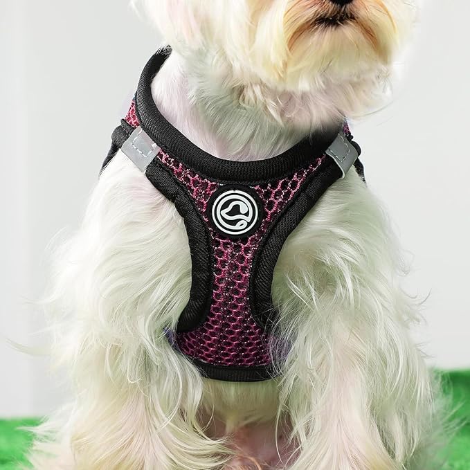 Step in Dog Harness Comfort Mesh Dog Vesr Harness Extra Small Pet Harness for Chihuahua Soft Padded Harness Lightweight Puppy Harness for Cat Doggie Outdoor Walking (Rose, Medium)