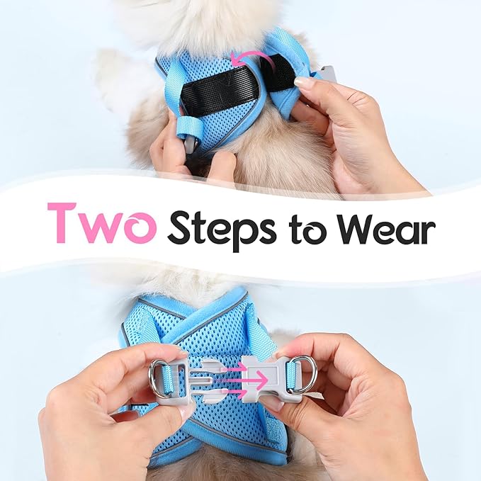 Dooradar Cat Harness and Leash Set, Escape Proof Lightweight Kitten Harness, Soft Breathable Reflective Vest for Outdoor Walking Traveling, Adjustable for Large Cats, Pink & Blue, L