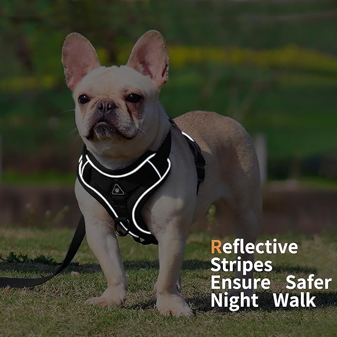 No Pull Dog Harness with Leash Set for Small Sized Dog, Reflective Adjustable No Choke Front Clip Cat Vest Harness with Breathable Mesh, Comfortable Soft Padded Pet Vest, Black L