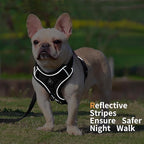 No Pull Dog Harness with Leash Set for Small Sized Dog, Reflective Adjustable No Choke Front Clip Cat Vest Harness with Breathable Mesh, Comfortable Soft Padded Pet Vest, Black L