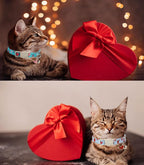 Cat Collar,2 Pack Cat Collars Breakaway with Bell, DOGWONG Safety Buckle Valentine's Day Cat Collar Blue Heart for Girl Boy Cats and Small Dogs，Adjustable 7-12 Inch,Pet Supplies Accessories