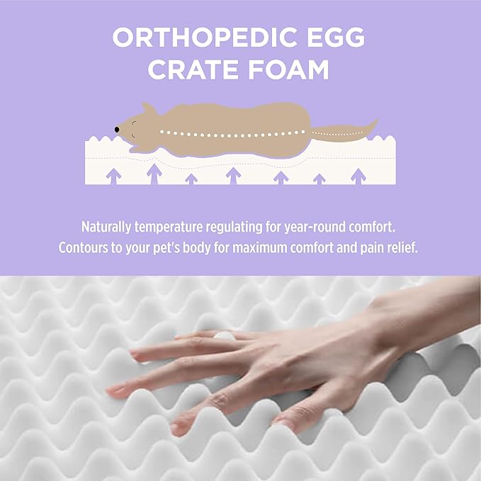 LE SURE Outdoor Waterproof Dog Beds Large Sized Dog, Orthopedic Egg Crate Foam Pet Bed with Oxford Fabric Surface and Removable Washable Cover, Pet Mat 36''x27'', Green