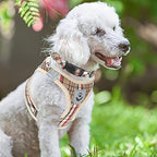 PUPTECK Adjustable Dog Harness Collar and Leash Set Step in No Pull Pet Harness for Small Medium Dogs Puppy and Cats Outdoor Walking Running, Soft Mesh Padded Reflective Vest Harnesses, Khaki XXS