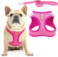 PUPTECK Dog Harness and Leash Set for Small Medium Dogs No Pull Step-in Soft Mesh Puppy Cat Vest Harnesses Reflective at Night, Denim Pink L