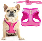 PUPTECK Dog Harness and Leash Set for Small Medium Dogs No Pull Step-in Soft Mesh Puppy Cat Vest Harnesses Reflective at Night, Denim Pink L