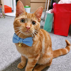 2 Pack Soft Corduroy Cat Collars with Bow Tie & Bell, Adjustable Breakaway Cotton Kitty Bowtie Collar for Girl Boy Kitten (Pink & Blue)