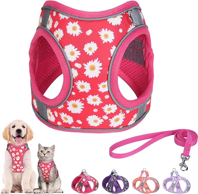Step in Dog Harness and Leash Set, Flower Adjustable Easy Walk Puppy Harnesses, Soft Mesh Pet Vest Harness Small Size Dog Adjustable No Pull Dog Harness for Small Medium Dogs(Rose red, XXS)