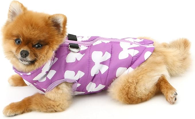 SMALLLEE_LUCKY_STORE Pet Water Resistant Winter Jacket Vest with D-Ring for Small Dog Cat Zip-up Padded Puppy Coat Chihuahua Yorkie Kitten Warm Clothes, Purple, XL