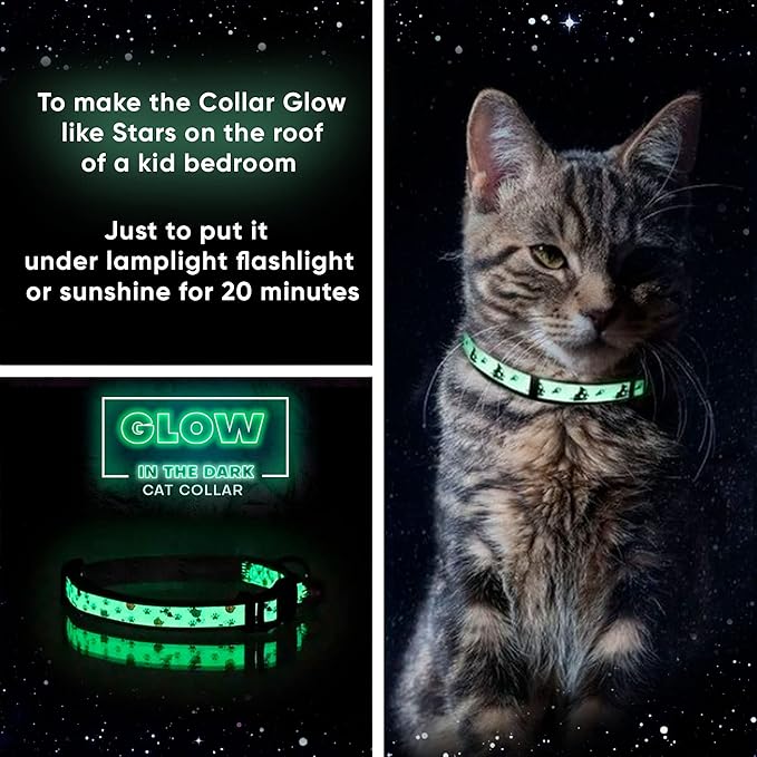 Pawtitas Glow in The Dark Cat Collar with Breakaway Safety Buckle & Bell Adjustable Kitten Collar, Purple