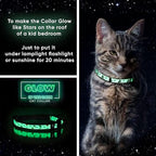 Pawtitas Glow in The Dark Cat Collar with Breakaway Safety Buckle & Bell Adjustable Kitten Collar, Blue