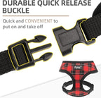 PUPTECK Soft Mesh Dog Harness and Leash Set Pet Puppy Cat Comfort Padded Vest No Pull Harnesses, Red&Black, XS