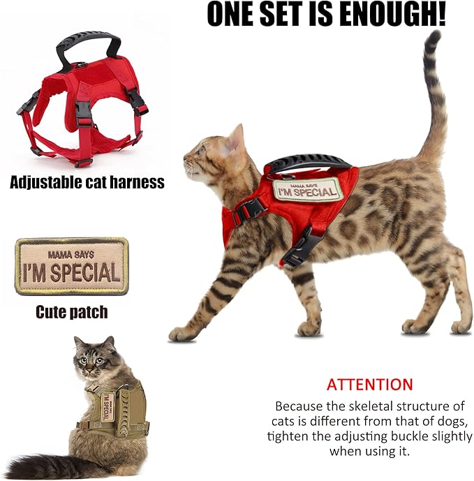 AIWAI Tactical Cat Harness for Walking Escape Proof, Adjustable Pet Vest Harness, Soft Mesh with Control Handle for Large Cat Small Dog, Gift with Patch