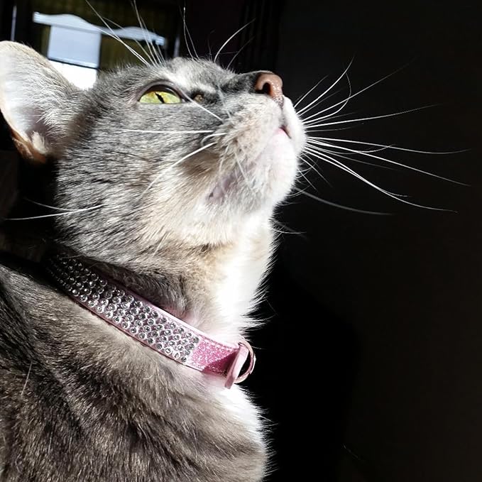 PUPTECK Basic Adjustable Cat Collar with Bling Diamond and Double Bells, for Kitten and Small Puppy, Fashion and Shining Dog Rhinestone Collars, 10-13 in, Pink