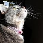 PUPTECK Basic Adjustable Cat Collar with Bling Diamond and Double Bells, for Kitten and Small Puppy, Fashion and Shining Dog Rhinestone Collars, 10-13 in, Pink