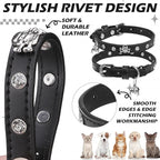 EXPAWLORER Cat Collar for Girl Boy Cats- Adjustable Leather Pet Collar with Safety Elastic Belt,Personalized Punk Accessories Buckle Collars with Bell & Durable D-Ring,White Diamond Skull