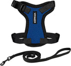 Voyager Escape-Proof Step-In Lock Cat Harness & 5ft Neoprene-Handle Leash Set All-Weather Mesh with Reflective Stitching For Small to Large Cats by Best Pet Supplies, Royal Blue/Black Trim, S