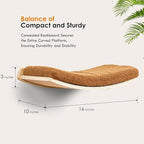 Curved Cat Wall Shelves and Perches, Floating Cat Wall Bed Furniture with Comfortable Cushion