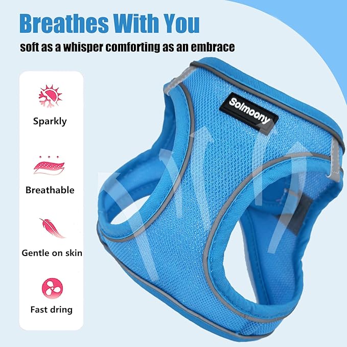 Solmoony Sparkly XXXS Dog Harness and Leash Set, Step in Soft Light Puppy Vest, Breathable Reflective Pet Harness for Walking, Puppy Harness for Small Dogs Cats (Blue, XXXS)