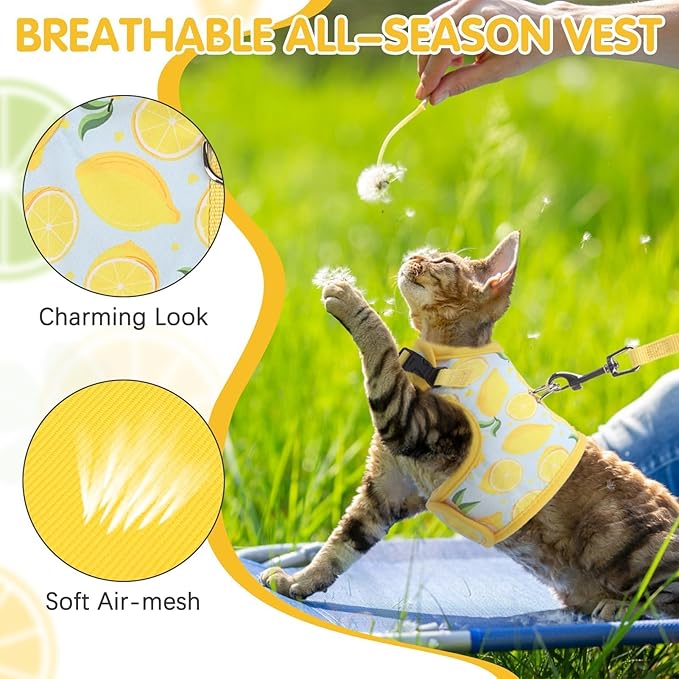 BINGPET Cat Harness and Leash Set Escape Proof for Walking,Step-in Harness with Lightweight Soft Breathable Mesh,Adjustable Easy Control Harness (Sunshine Citrine, L(Chest:12.5-16.5"))