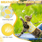 BINGPET Cat Harness and Leash Set Escape Proof for Walking,Step-in Harness with Lightweight Soft Breathable Mesh,Adjustable Easy Control Harness (Sunshine Citrine, L(Chest:12.5-16.5"))