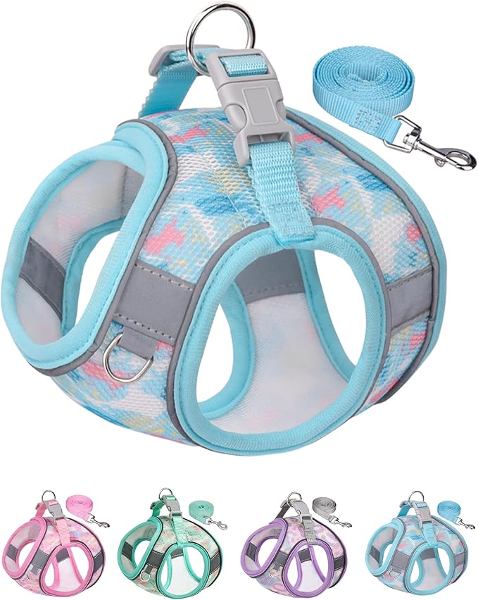 Dog Harness for Small Medium Dogs No Pull, Cat Harness and Leash Set, Step in Puppy Harness. (Bule, XS)