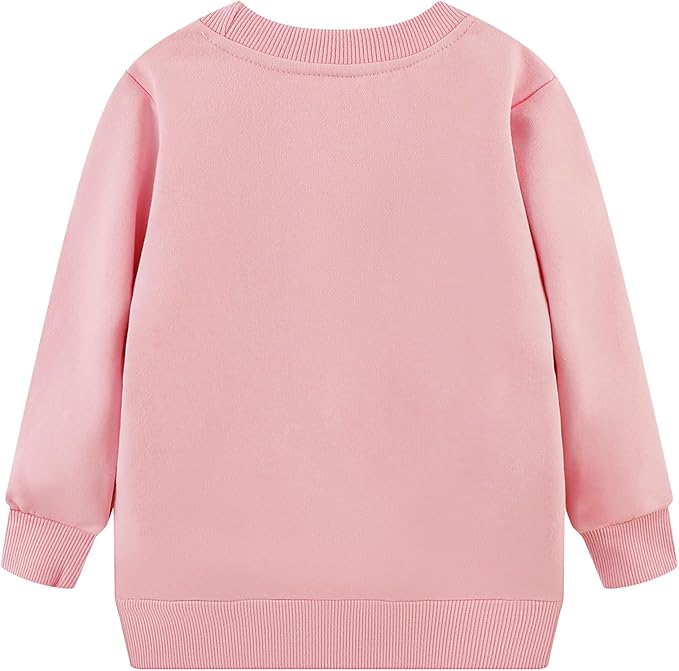 RETSUGO Toddler Baby Girls Sweatshirts Casual Pullover Crewneck Winter Long Sleeve Tops Shirts Clothes 3T-8T