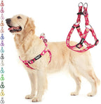 PUPTECK No Pull Dog Harness Soft Adjustable Basic Nylon Step in Puppy Vest Outdoor Walking with ID Tag, Fuchsia Daisy, L