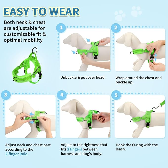 SlowTon No Pull Small Dog Harness and Leash Set, Puppy Soft Vest Harness Neck & Chest Adjustable, Reflective Lightweight Harness & Anti-Twist Pet Lead Combo for Small Medium Dogs (G-Front Clip,XXS)