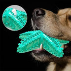 Chew Toy for Dog Toothbrush Stick Dog Toys for Aggressive Chewers Interactive Toys Treats Tough Toy to Keep Them Busy Chew Toys for Small Dogs (Star Toy - Blue)