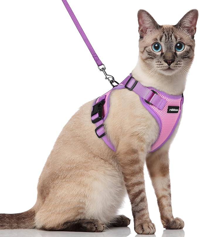 rabbitgoo Cat Harness and Leash Set, Escape Proof Soft Adjustable Vest Harnesses for Outdoor Walking, Easy Control Breathable Kitten Jacket with Reflective Strips, Pink & Purple, S