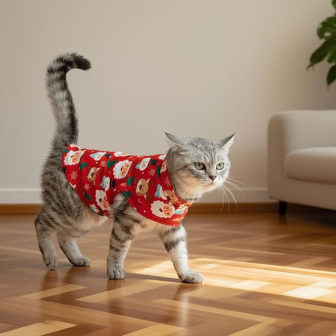 EXPAWLORER Cat Christmas Sweater - Sweaters for Cats Only Soft Warm Pet Clothes, Fall and Winter Xmas Coat Pullover Design, Fleece Sweatshirt Clothing Also for Puppy Small Dogs, Small