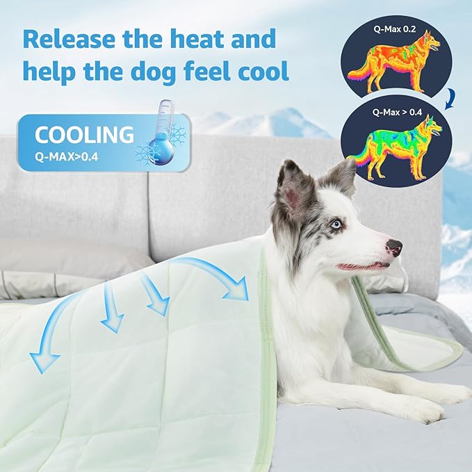 PICK FOR LIFE Cooling Blanket for Dogs, 0.4 Q-MAX Pets Cooling Comforter Throw for Bed Cover, Summer Blanket for Large Dogs Washable, Soft Lightweight Cold Mats for Pet Hot Weather (43"×55"/Green)