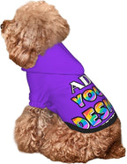 Personalized Dog Hoodie Custom Hooded Pet Warm Pullover Sweatshirt with Name Number Clothes for Chihuahua Pupppy Kitten Hoodies Puppy Soft Sweater Winter Small Dogs Cats, Blue Violet, L,
