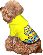 Custom Dog Hoodie, Personalized Dog Sweatshirt, Dog Clothes for Small Dogs Customizable, Yellow, XS, Ropa para Perros Pequeños, Customized Pets Puppy Clothes, Personalized Gifts