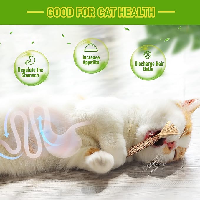 1 Pack Silvervine Cat Toy, Silvervines Sticks Cat Toys for Indoor Cats, Cat & Kitten Chew Toys for Aggressive Chewers, Cat Dental Toy for Kitten Teeth Cleaning, Matatabi Silvervine for Cats