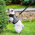 PUPTECK Soft Mesh Cat Vest Harness and Leash Set Puppy Padded Pet Harnesses Escape Proof for Cats Small Dogs