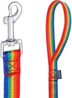 AmaGood Dog Training Leash Long Recall Training Agility Leash-15 ft 20 ft 30 ft 50 ft Long Lead Leash for Dog Training,Recall,Play,Safety,Camping (15feet, Rainbow)
