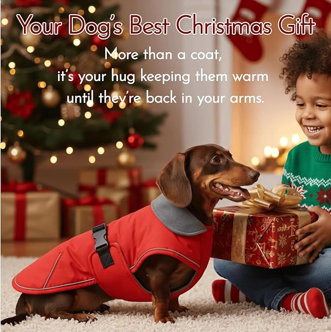 Waterproof & Windproof Dachshund Jackets with Adjustable Bands, Thick Weiner Vest Clothes for Large Sausage Dog, Weenie Winter Puffer Coat, Outdoor Snowsuit for Dachshunds, Small Medium Dog(Red, L)