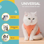 Avont Cat Recovery Suit - Kitten Onesie for Cats After Surgery, Cone of Shame Alternative Surgical Spay Suit for Female Cat, Post-Surgery or Skin Diseases Protection -Coral(S)