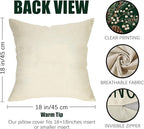 Fahrendom Winter Vibes Green Decorative Throw Pillow Covers 18 x 18 Set of 4, Let It Snow Pine Cones Needle Berry Porch Patio Outdoor Pillowcase, Christmas Seasonal Sofa Couch Cushion Case Home Decor