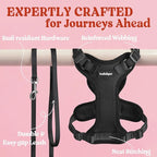 rabbitgoo Cat Harness and Leash for Walking, Escape Proof Soft Adjustable Vest Harnesses for Cats, Easy Control Breathable Reflective Strips Jacket, Black, S