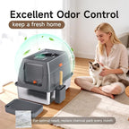 Extra Large Stainless Steel Litter Box with Lid, High Sided Enclosed Metal Cat Litter Pan, Dog Proof Front Entry Top Exit, Odor Control Easy Clean Leak Proof, Includes Mat, Scoop & Step, Grey