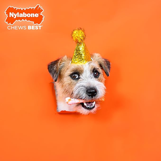 Nylabone Limited Edition 70th Birthday Textured Bone Power Chew Toy for Dogs, Durable & Tough Dog Toys for Aggressive Chewers, Roasted Chicken Flavor, X-Small Dogs - Up to 15 lbs (1 Count)