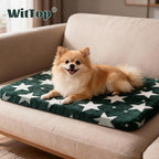 Washable Dog Bed Plush Orthopedic Outdoor Crate Mat with Non-Slip Bottom,Luxe Soft Kennel Pad for Pets, Cozy Cage Cushion & Pet Sleeping Mattress Large Sized,Medium,Small Dogs,24x18 inch,Green