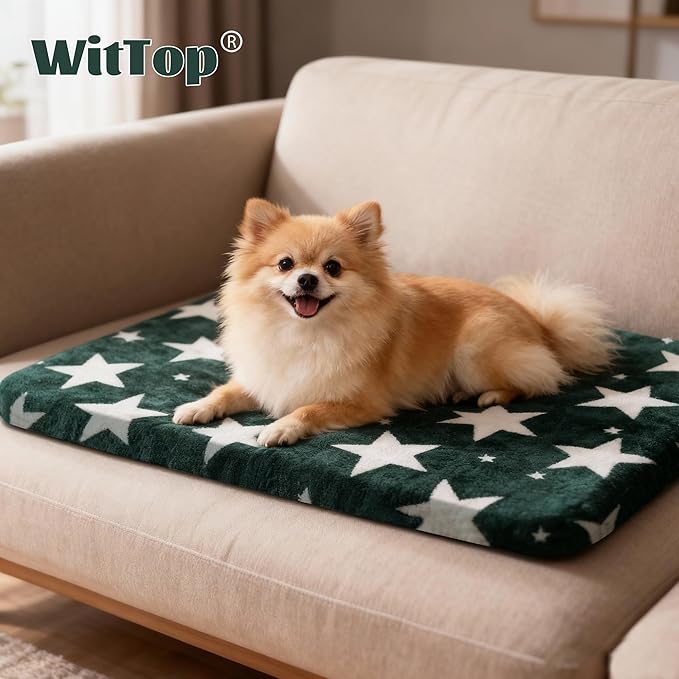 Washable Dog Bed Plush Orthopedic Outdoor Crate Mat with Non-Slip Bottom,Luxe Soft Kennel Pad for Pets, Cozy Cage Cushion & Pet Sleeping Mattress Large Sized,Medium,Small Dogs,24x18 inch,Green
