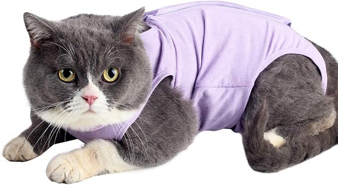 Cat Surgery Recovery Suit Cat Onesie for Cats After Surgery Spay Surgical Abdominal Wound Skin Diseases E-Collar Alternative Wear (Pruple-M)