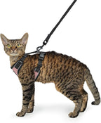 Voyager Escape-Proof Step-in Lock Cat Harness & 5ft Neoprene-Handle Leash Set All-Weather Mesh with Reflective Stitching for Small to Large Cats by Best Pet Supplies, Pink/Black Trim, S