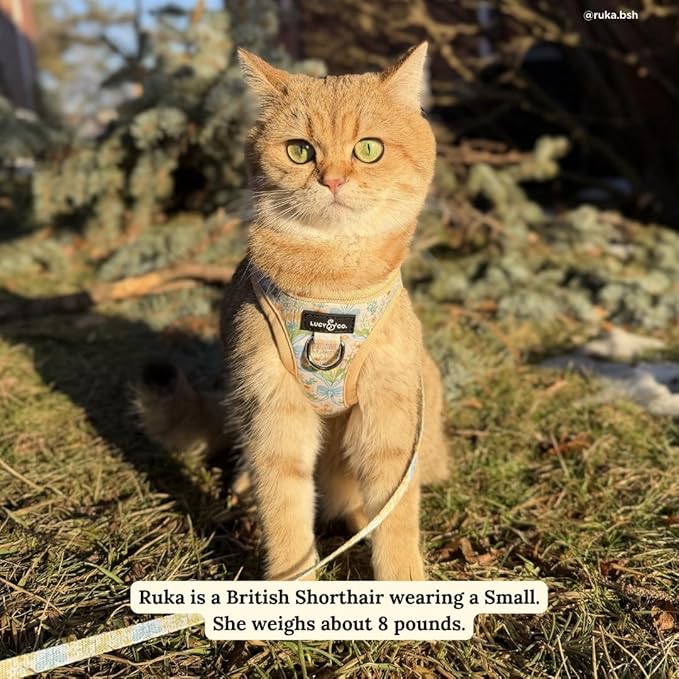 Lucy & Co. Sunshine and Daffodils Step-in Cat Harness and Leash Set Bundle, Reflective, Breathable & Adjustable Harness for Cats, Kittens & Small Dogs, Lightweight & Secure - X-Small